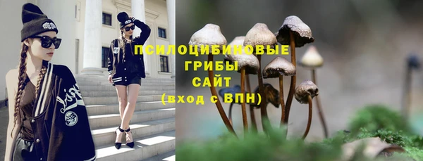 спиды Армянск