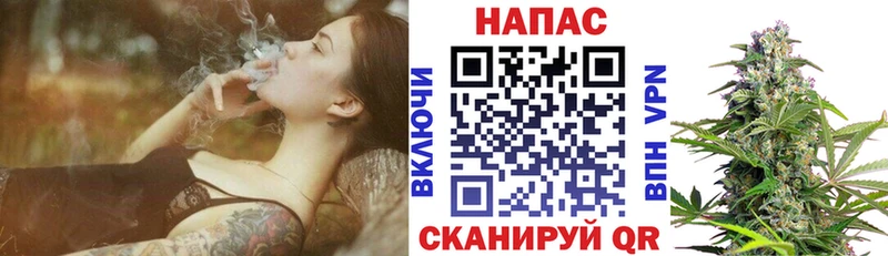 Купить  Михайловка  Конопля VHQ 